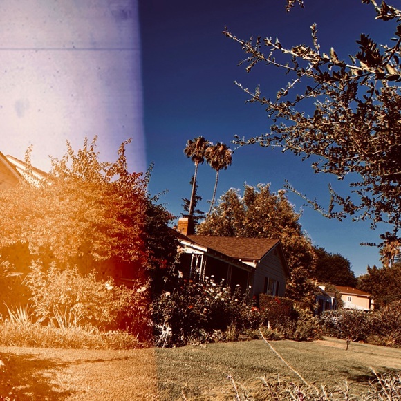 Lovely Star * Original Photography Print - Picture 2 of 5